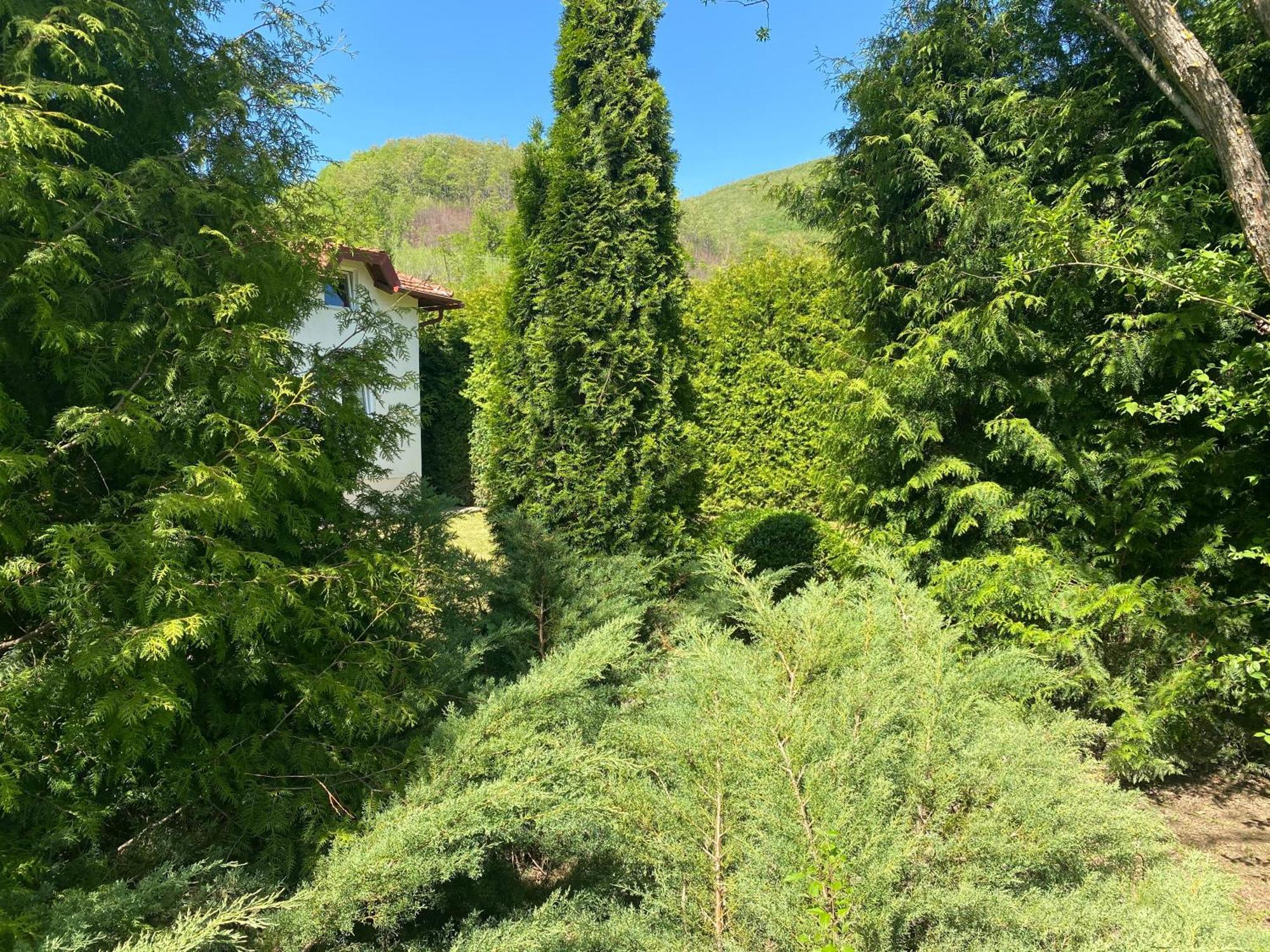 Villa Nana Kulen Vakuf Dış mekan fotoğraf